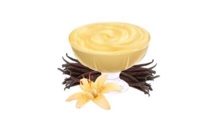 PUDING od tapioke vanila 60g