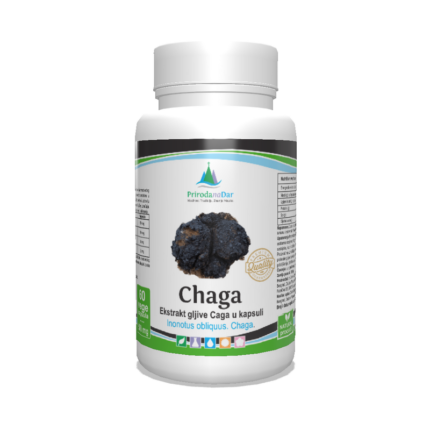 CHAGA pečurke tablete 60/1