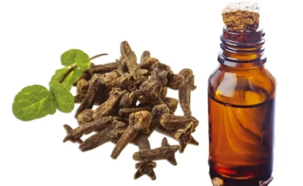 ULJE karanfilića eterično 10ml DEV.