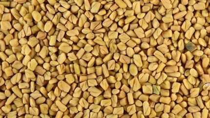 ČAJ PISKAVICA -Grčko seme