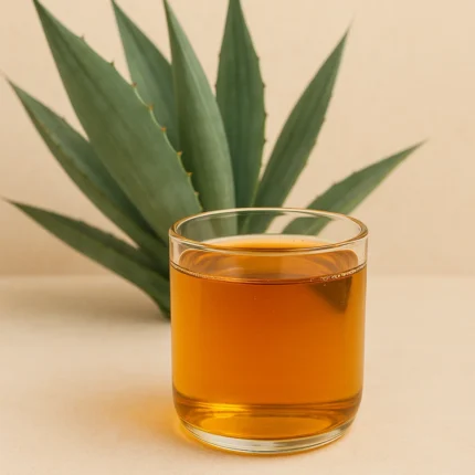 SIRUP AGAVE organic 1kg