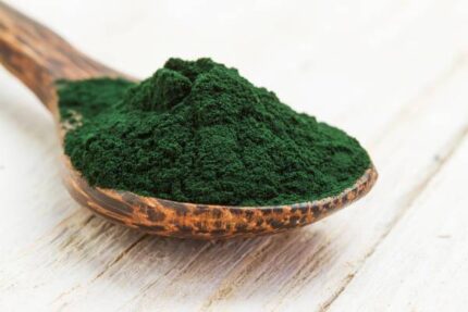 SPIRULINA u prahu 100  gr